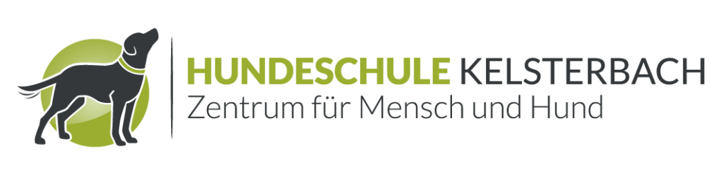 Hundeschule Frankfurt | In 12 Wochen zum folgsamen Hund!