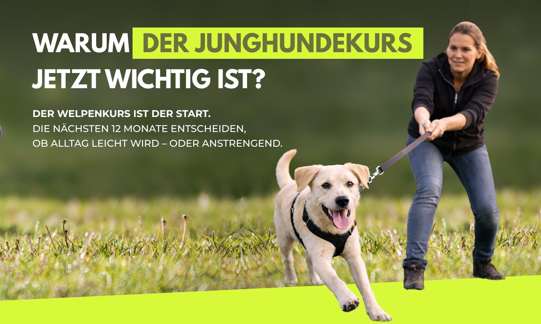 Hundeschule Frankfurt