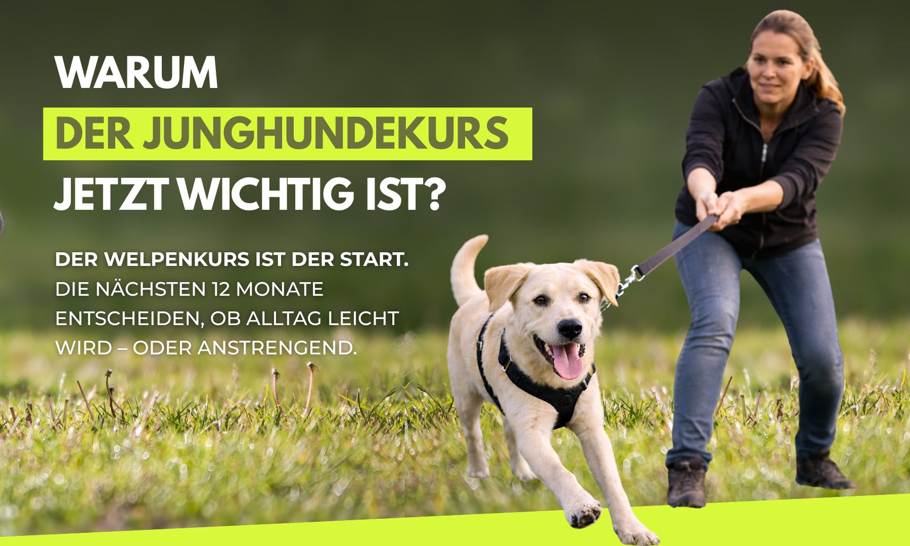 Hundeschule Frankfurt-4