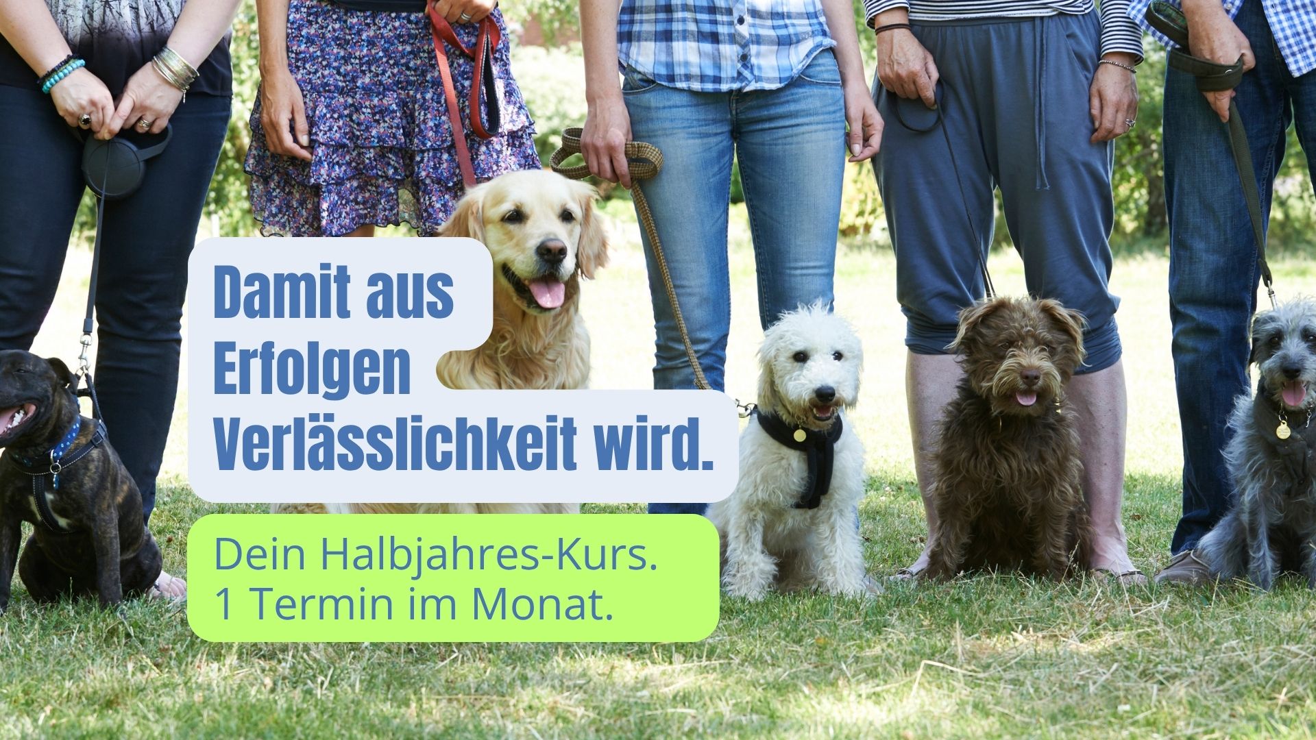 Hundeschule Kelsterbach-5